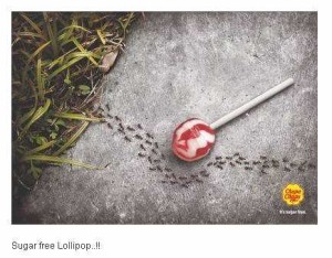Sugar-Free-Lollipop-Avoided-by-Ants